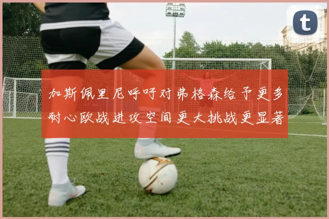 加斯佩里尼呼吁对弗格森给予更多耐心欧战进攻空间更大挑战更显著