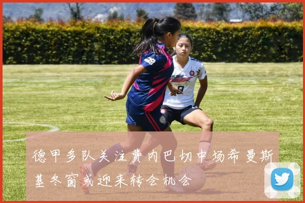德甲多队关注费内巴切中场希曼斯基冬窗或迎来转会机会