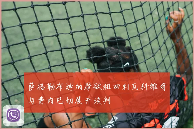 萨格勒布迪纳摩欲租回利瓦科维奇与费内巴切展开谈判