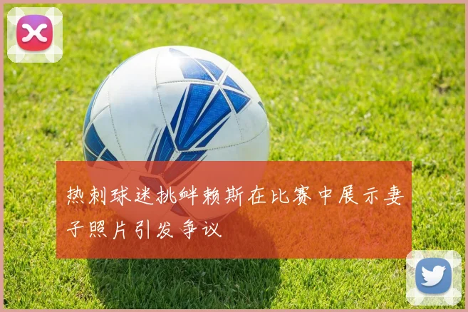 热刺球迷挑衅赖斯在比赛中展示妻子照片引发争议